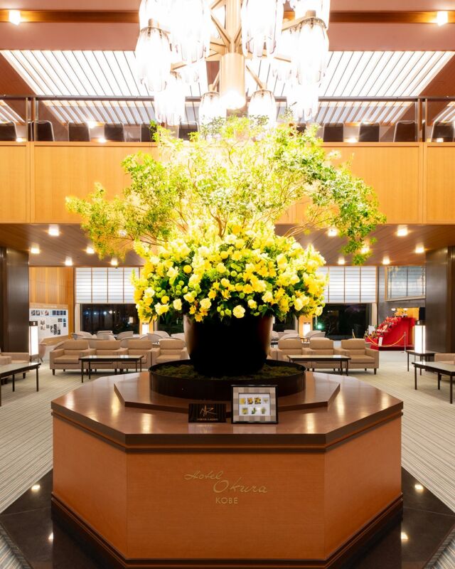 ・
２月は黄色いお花の共演で皆様をお迎えいたします。

In February, we will welcome everyone with a collaboration of yellow flowers.

#ホテルオークラ神戸#hotelokurakobe#ホテル関西#関西ホテル#ホテル神戸#神戸ホテル#神戸観光#神戸旅行#ホカンス#ラグジュアリーホテル#フラワー#flowers#2月#花#February#okurahotels#oneharmony#YellowFlower#黄色@okura_hotels